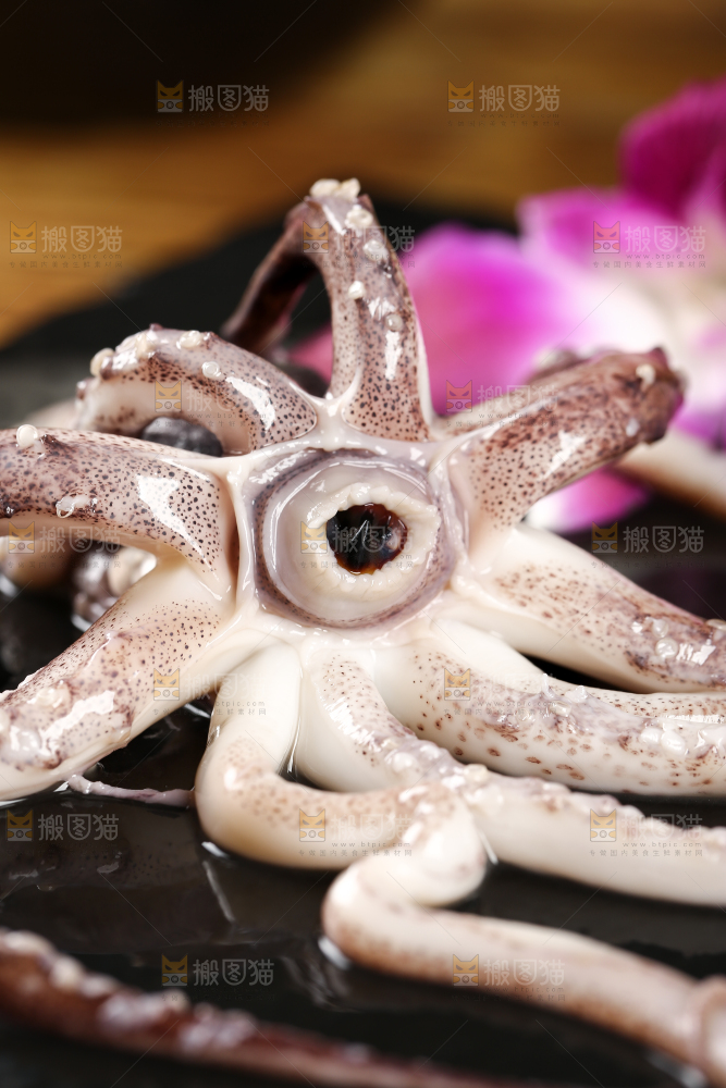 黑底上的鱿鱼