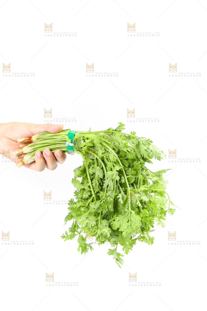 白底上的芹菜