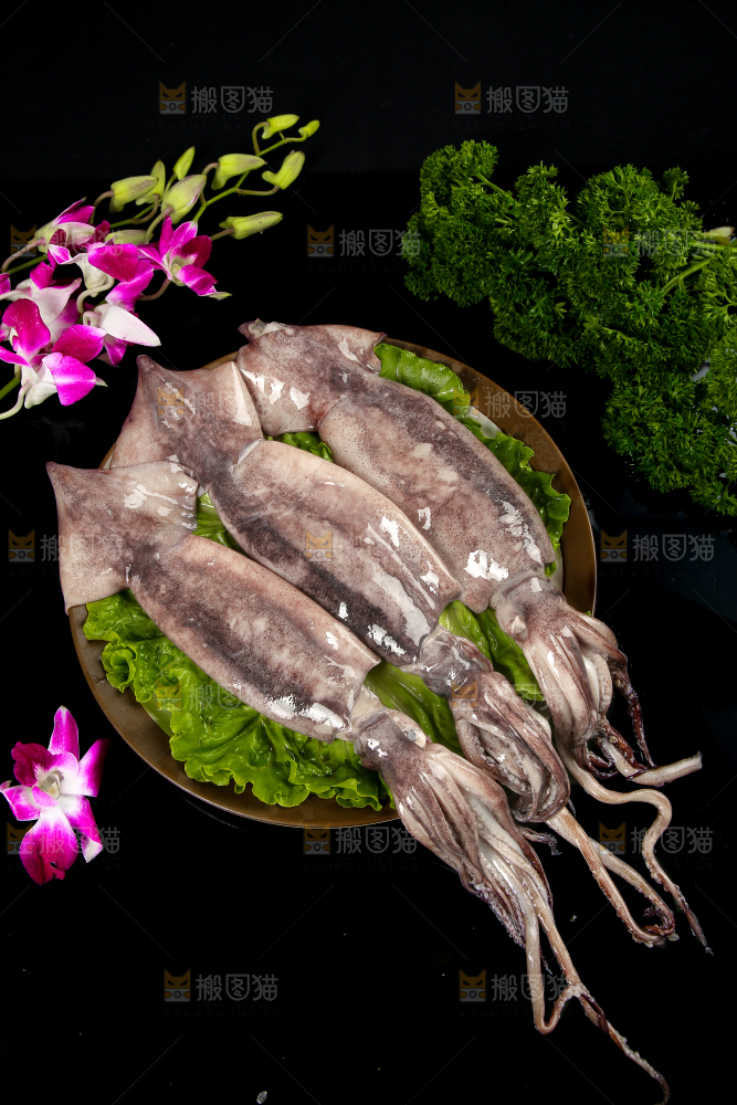 黑底上的鱿鱼