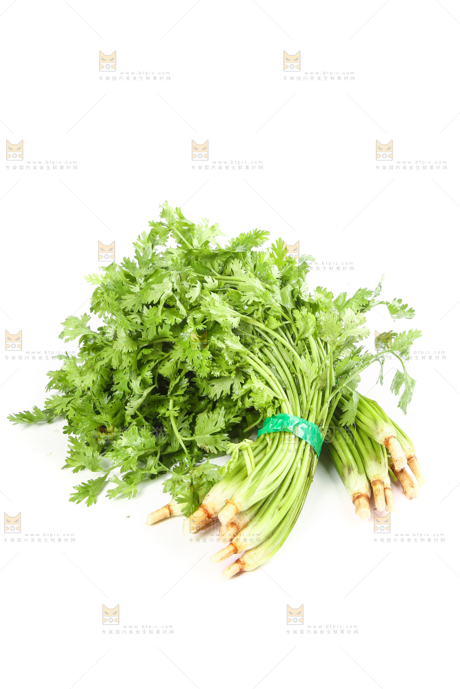 白底上的芹菜