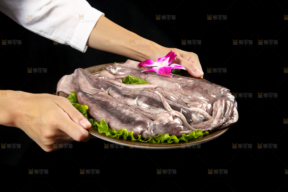 黑底上的鱿鱼