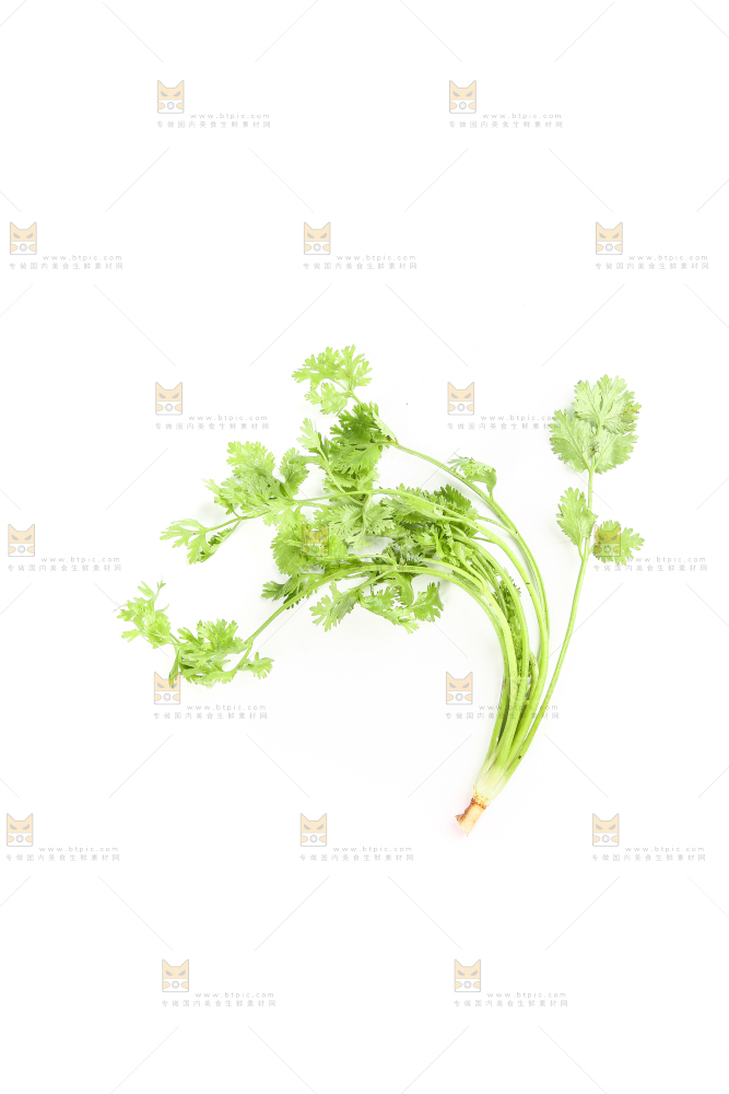 白底上的芹菜