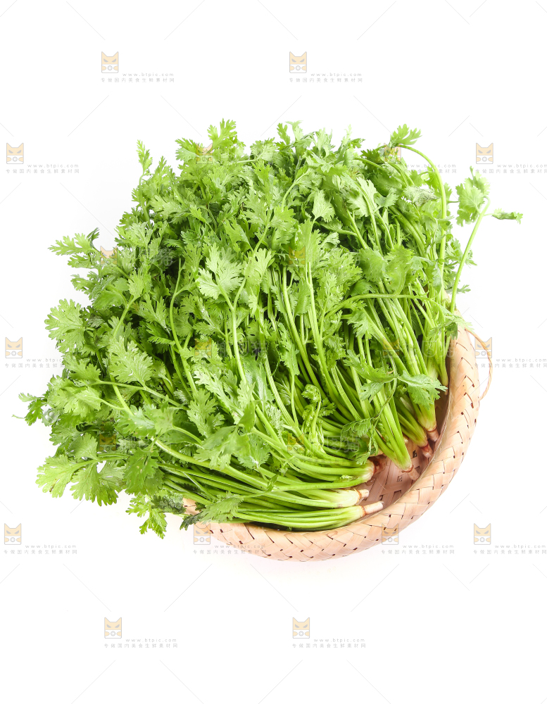 白底上的芹菜