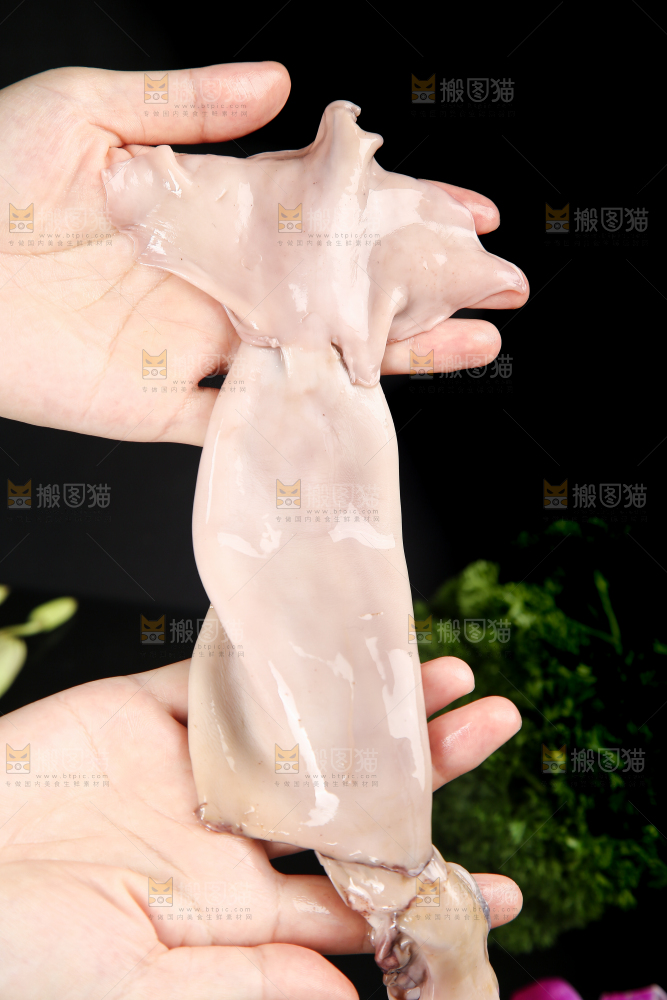 黑底上的鱿鱼