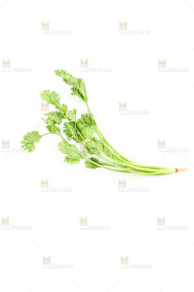 白底上的芹菜