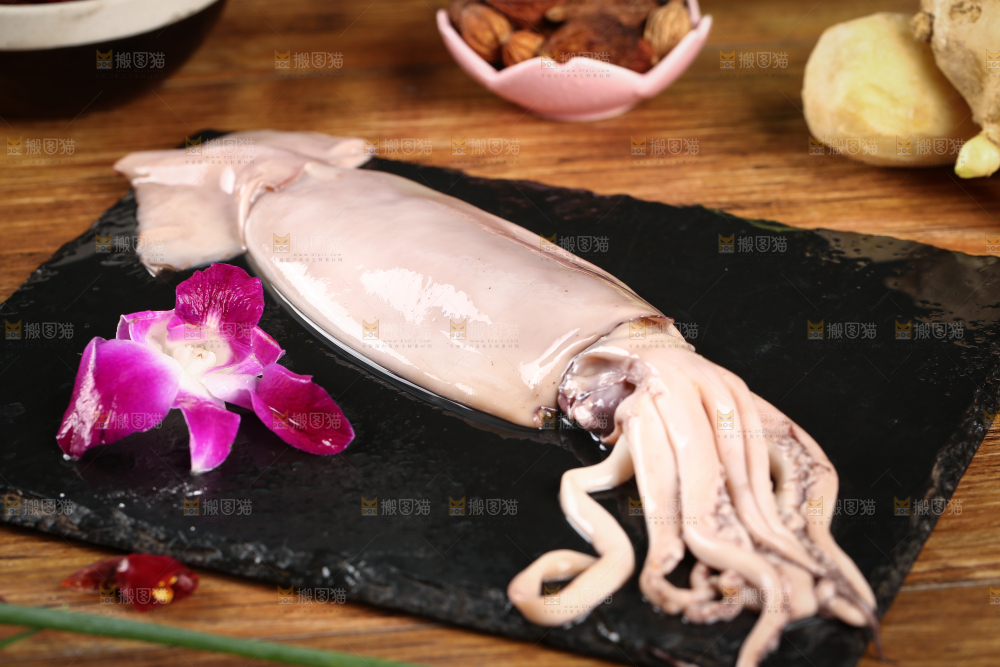 黑底上的鱿鱼