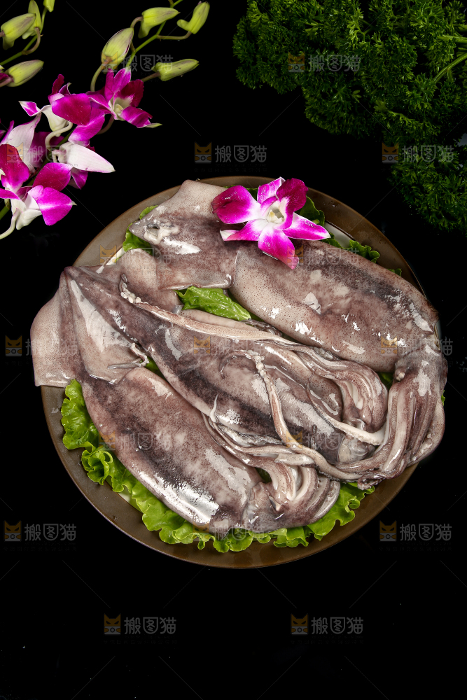 黑底上的鱿鱼