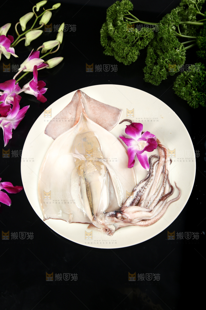 黑底上的鱿鱼