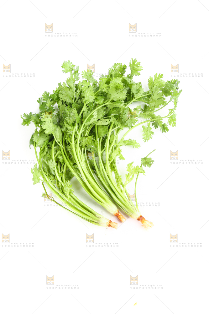 白底上的芹菜