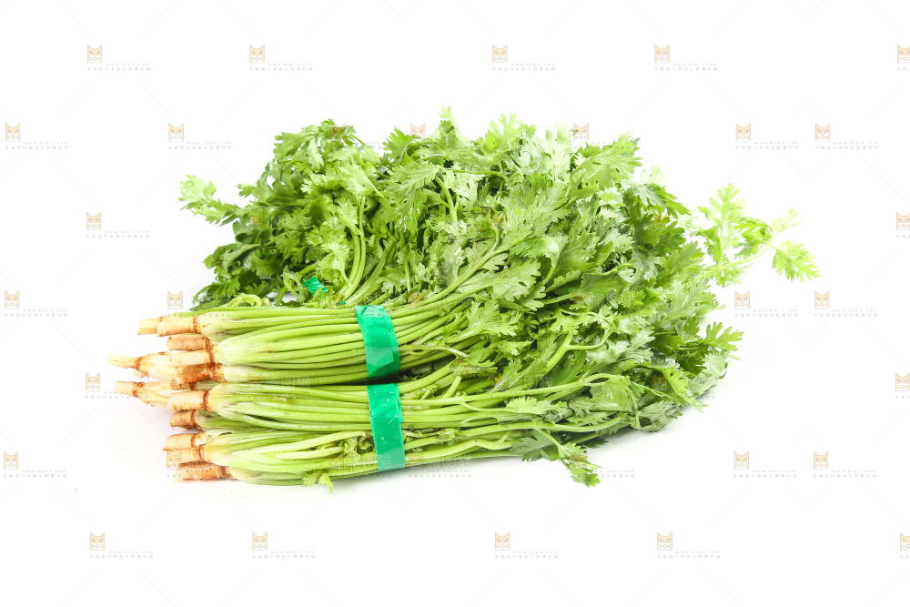 白底上的芹菜