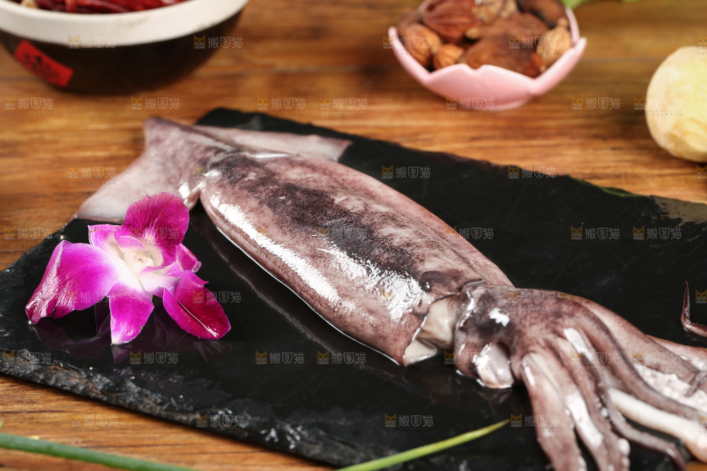 黑底上的鱿鱼