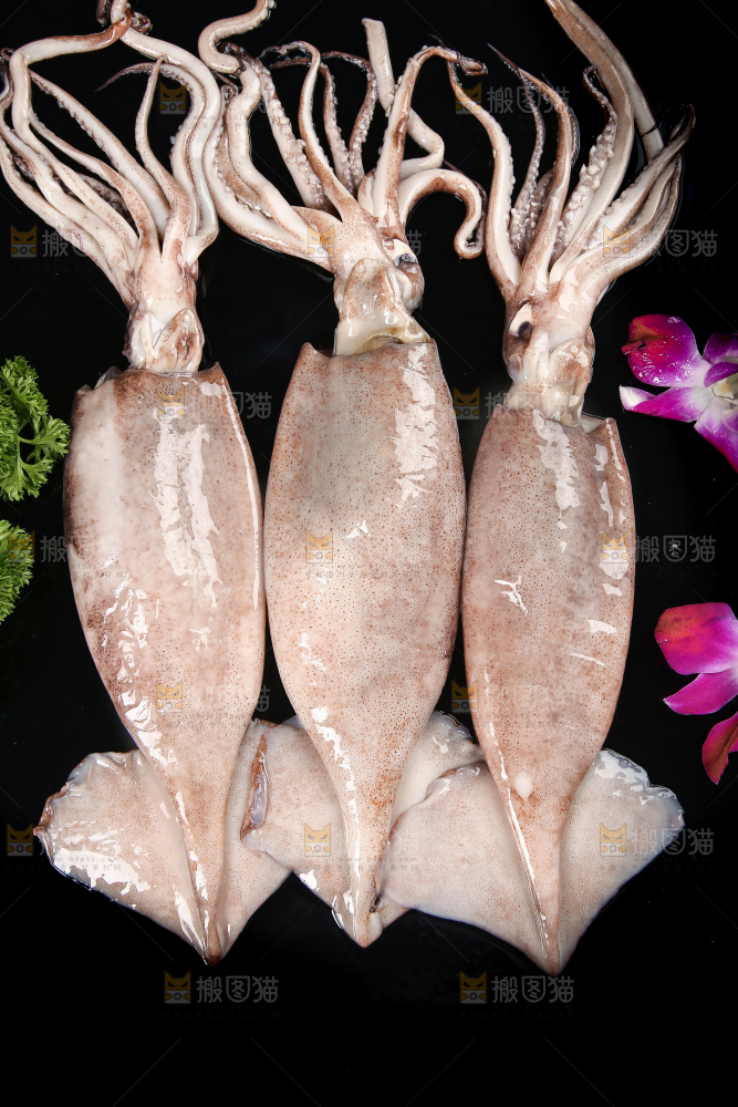 黑底上的鱿鱼