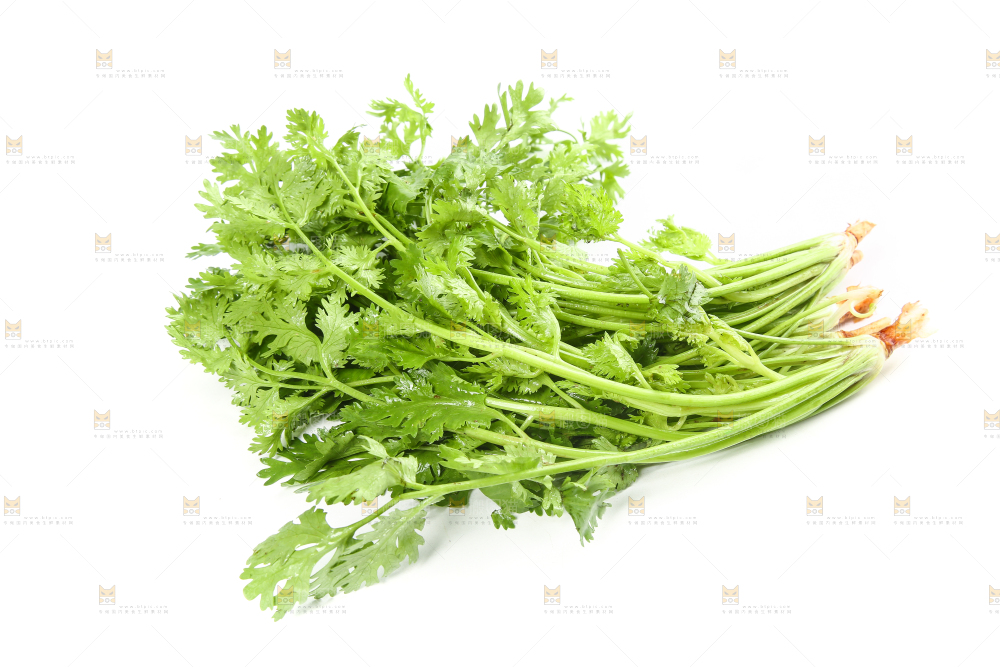 白底上的芹菜