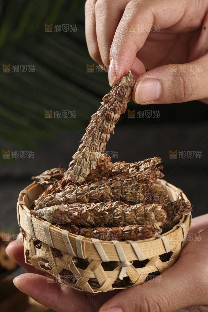 木底上的夏枯草