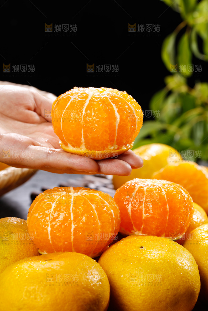 深底上的宜昌蜜桔