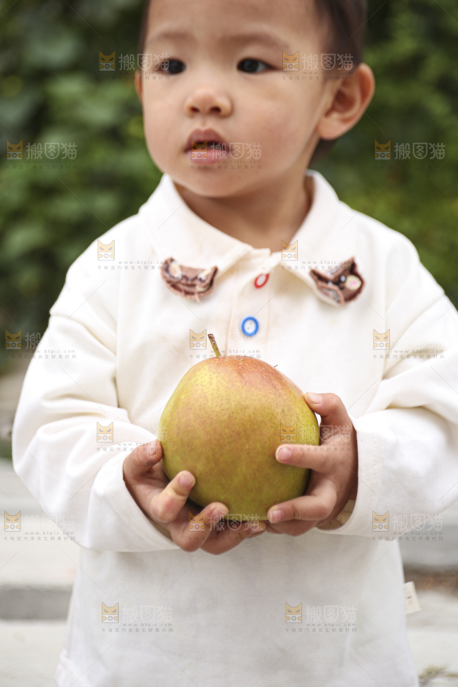 手里拿着玉露香梨