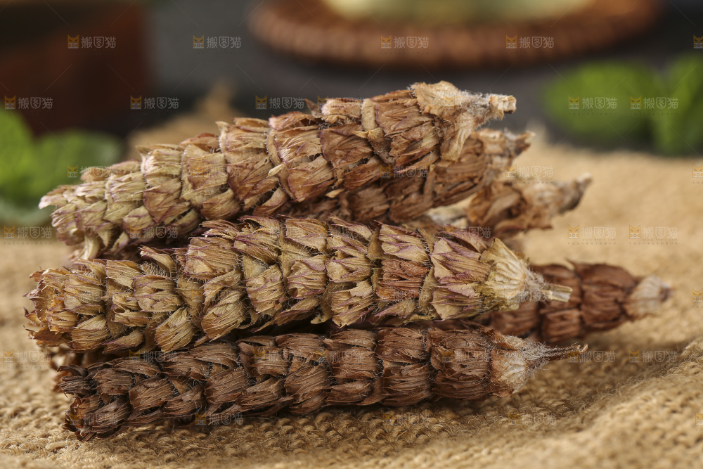 木底上的夏枯草