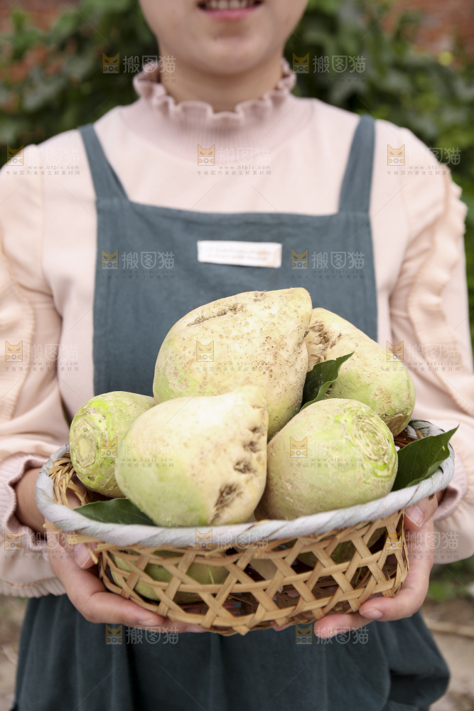 手里拿着大头芥菜