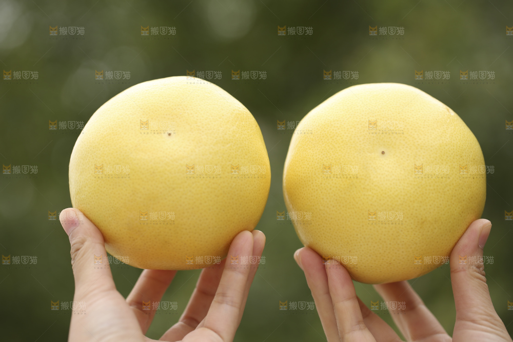 手里拿着黄金葡萄柚