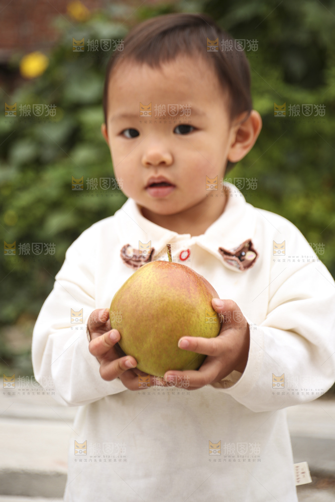 手里拿着玉露香梨