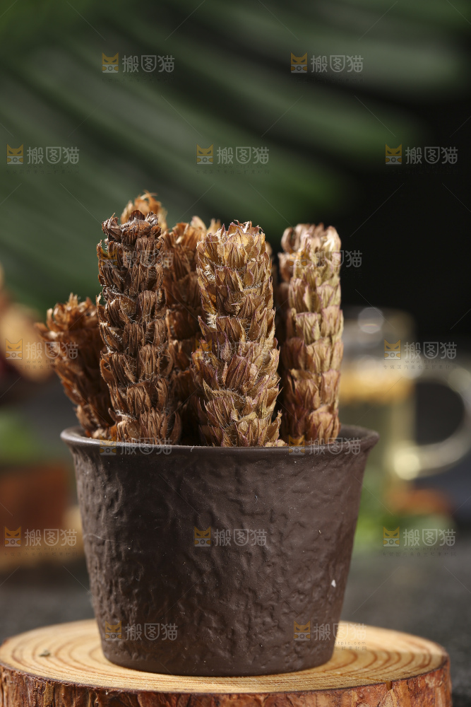 木底上的夏枯草