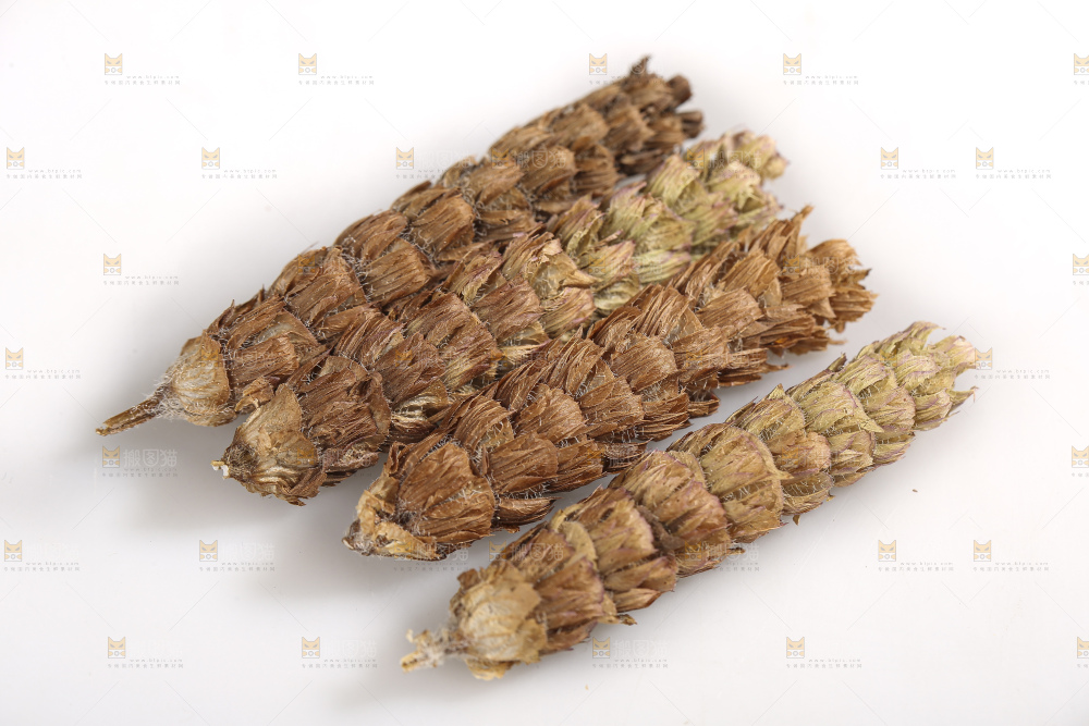 白底上放着夏枯草