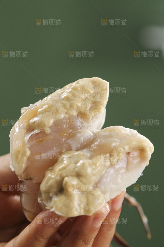 鲜活梭子蟹