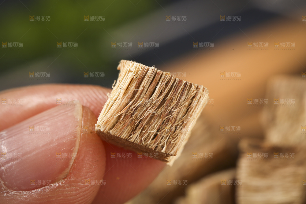 木底上的葛根
