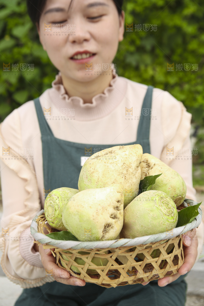 手里拿着大头芥菜