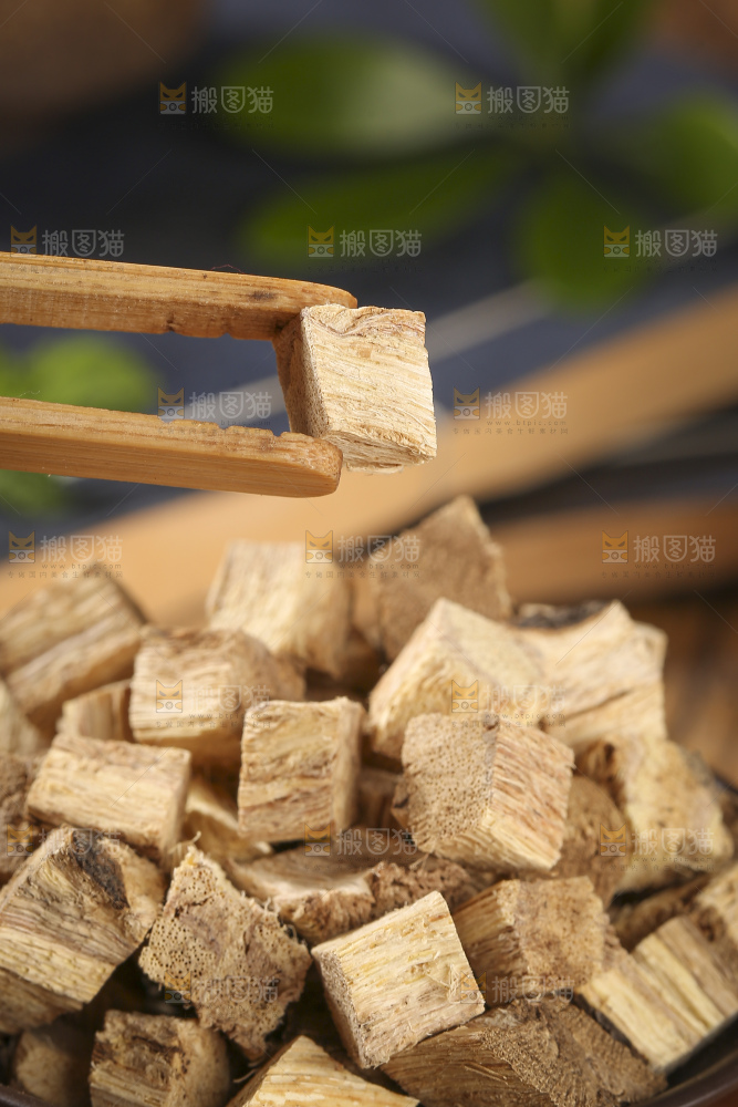 木底上的葛根