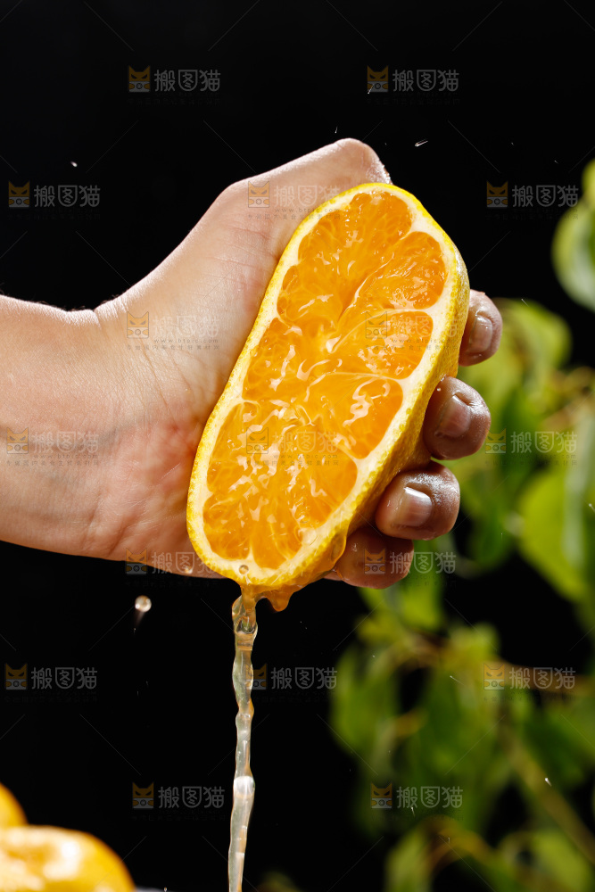 深底上的宜昌蜜桔
