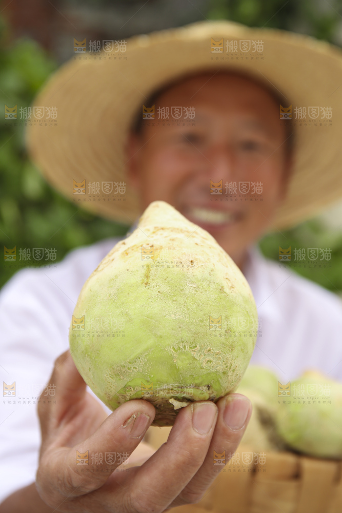 手里拿着大头芥菜