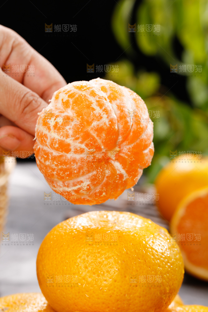 深底上的宜昌蜜桔