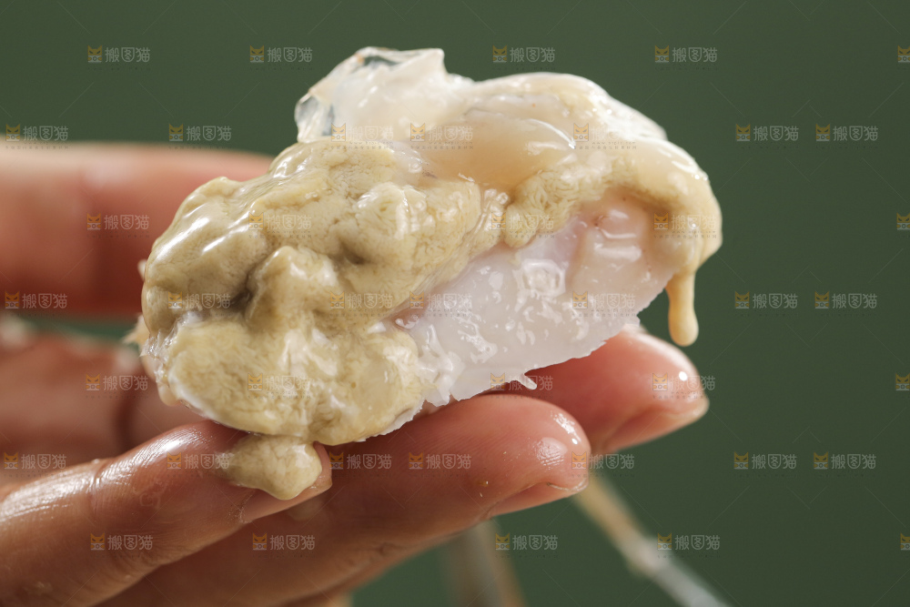鲜活梭子蟹