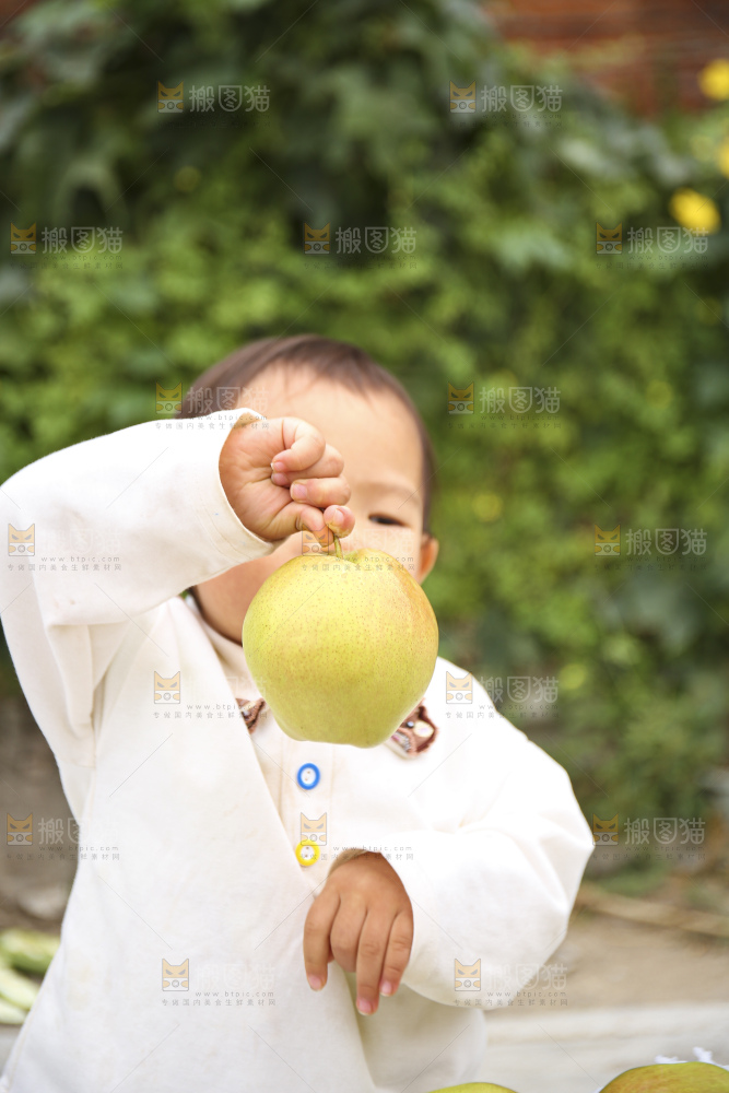 手里拿着玉露香梨