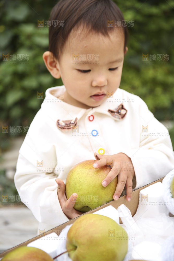 手里拿着玉露香梨