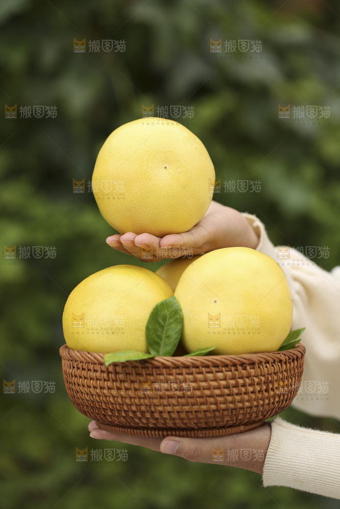 手里拿着黄金葡萄柚