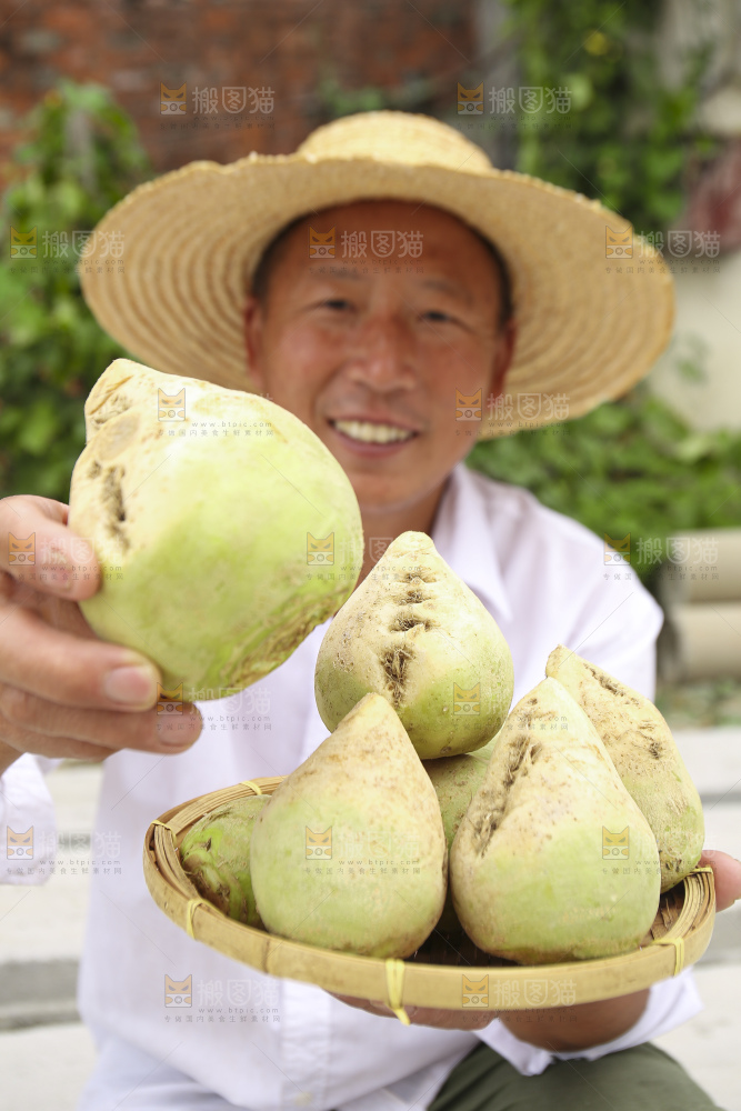 手里拿着大头芥菜