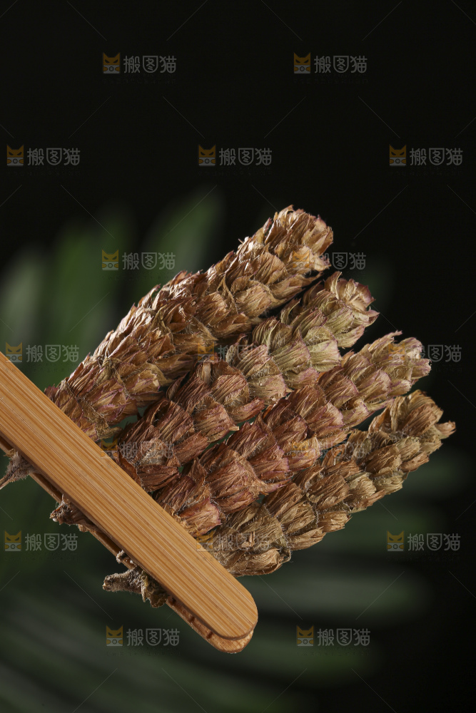 木底上的夏枯草