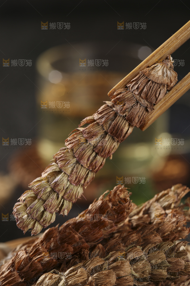 木底上的夏枯草