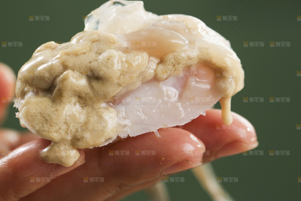 鲜活梭子蟹