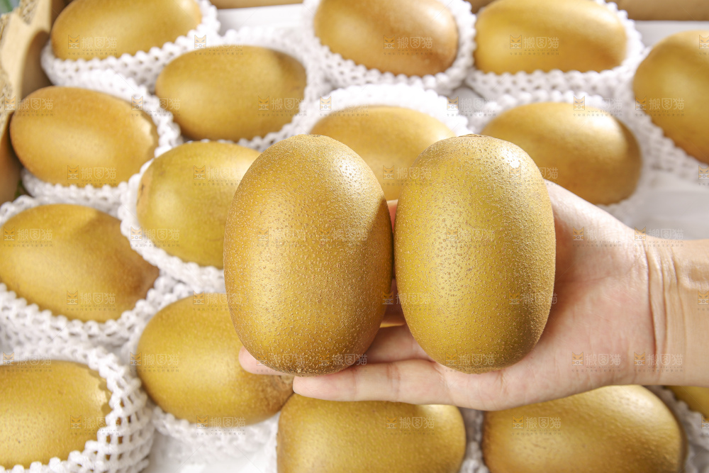 深底上放着佳沛奇异果