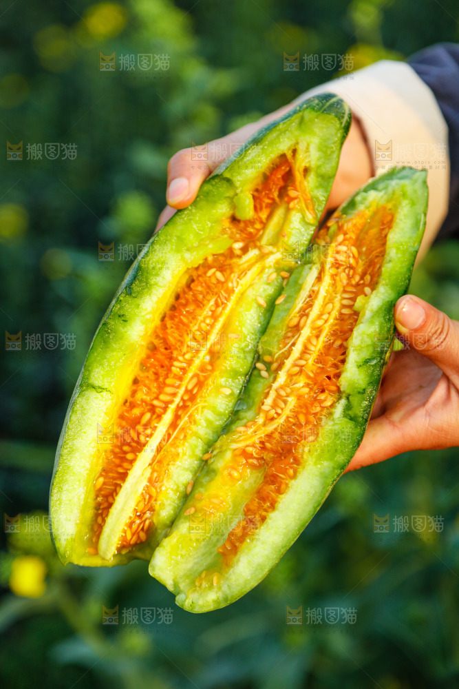 手里拿着羊角蜜甜瓜