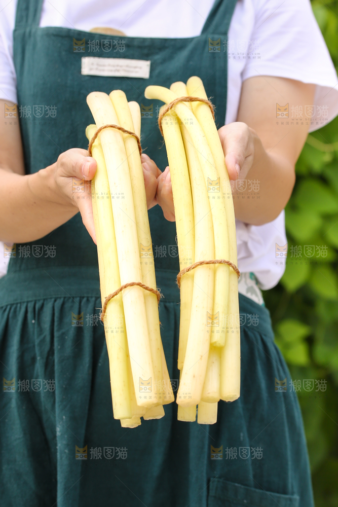 手里拿着藕带