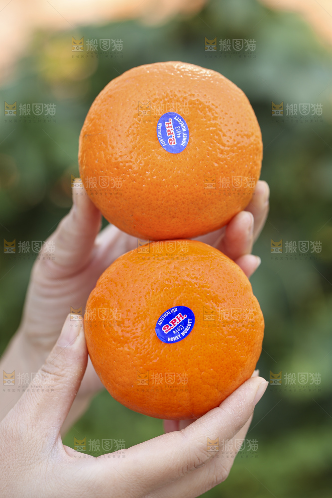 手里拿着进口澳柑