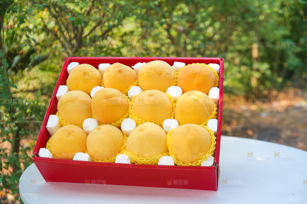 手里拿着炎陵黄桃