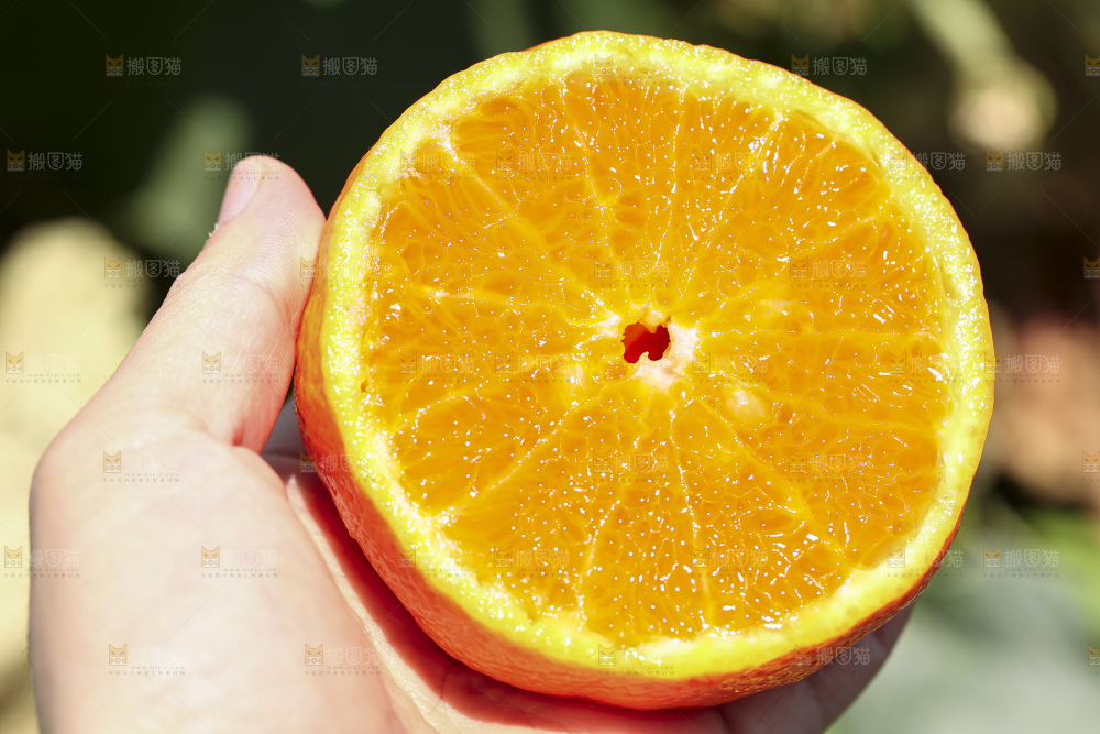 手里拿着进口澳柑