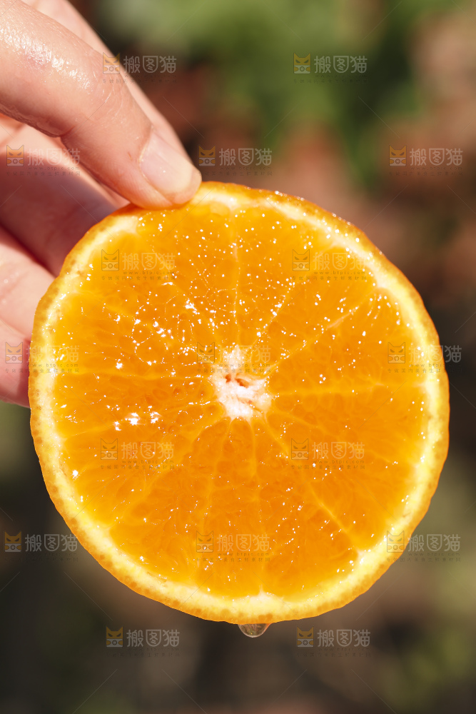 手里拿着进口澳柑