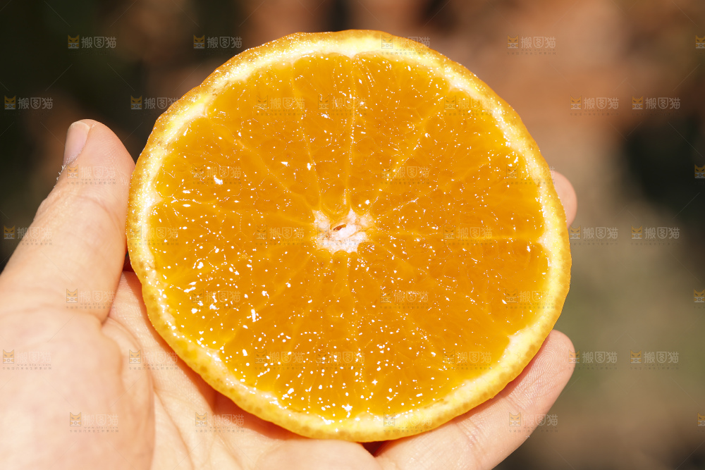 手里拿着进口澳柑