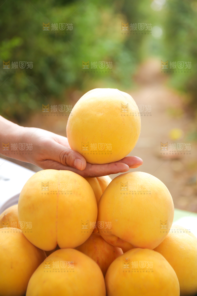 手里拿着炎陵黄桃